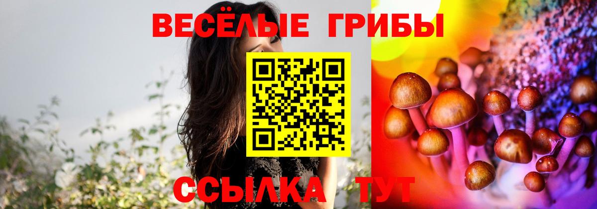 Сосновый Бор  Галлюциногенные грибы Psilocybine cubensis  Псилоцибиновые грибы Cubensis  Вход с VPN 